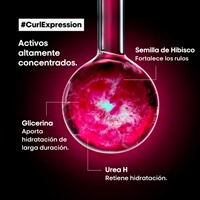 Imagen de Mousse 10 en 1 Curl Expression - 250 ml