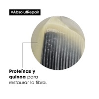 Imagen de Shampoo Absolut Repair- 300 ml
