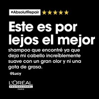 Imagen de Shampoo Absolut Repair- 300 ml